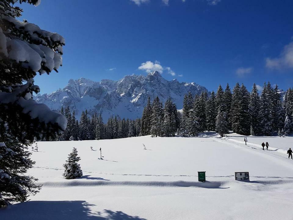 Appartamento Comelico Dolomiti Candide Exterior photo